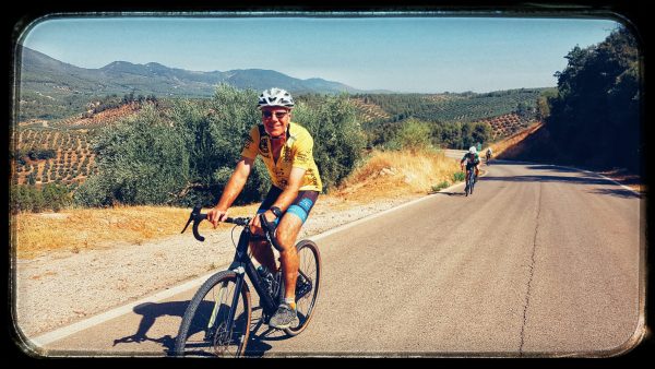 Cycling through the rows of Andalusian olives