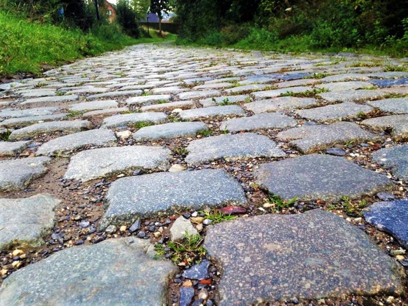 Cobbles and the bergs of Flanders